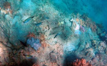 海底两万里500字读后感最新6篇