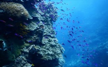 海底两万里200读后感精选6篇