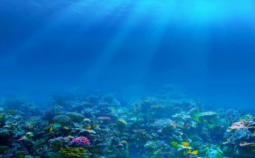 海底两万里200读后感通用8篇