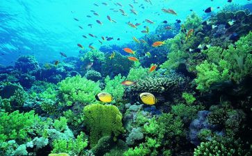 海底2万里心得体会8篇