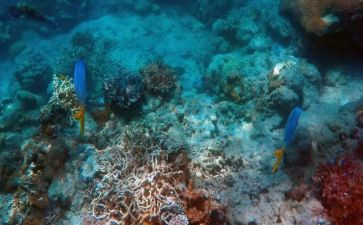 海底两万里200读后感8篇