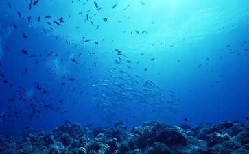 海底两万里读后感,两百字7篇
