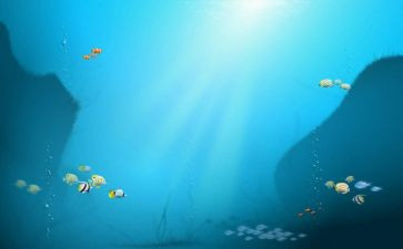 海底捞作文7篇