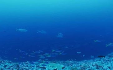 海底二万里的读后感7篇