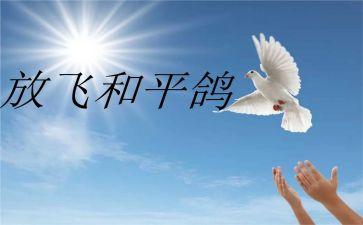 《为了和平》写心得体会5篇