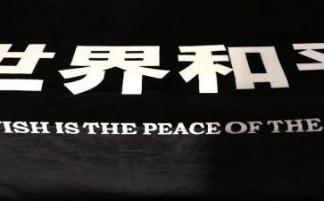 《为了和平》的心得体会7篇