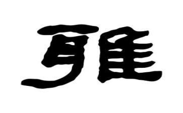 小学和雅少年主要事迹7篇