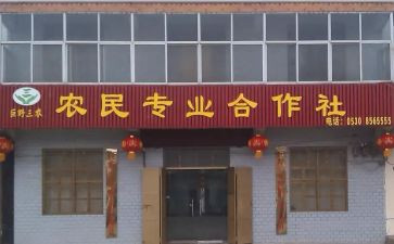 2024年供销合作社工作总结7篇