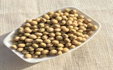 炒黄豆小班教案7篇
