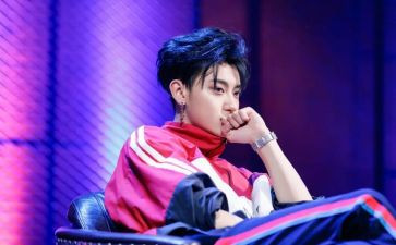 关于黄子韬的作文800字8篇