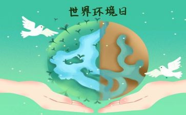 65环境日宣传活动方案5篇