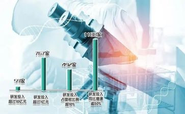 化验的工作总结模板8篇