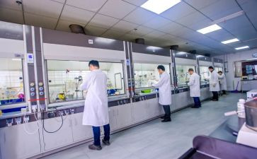 检测化验类个人总结6篇