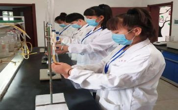 2023化验工作计划8篇
