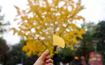 写童年回忆的作文模板5篇