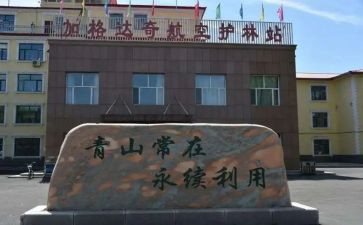 护林站工作总结优秀7篇