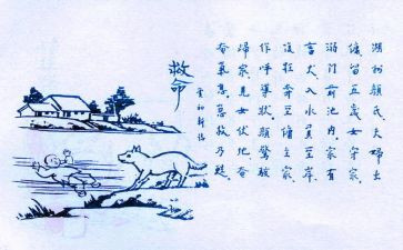 呵护生命作文最新8篇