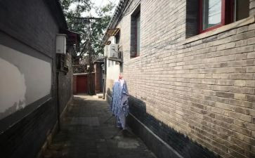 读将军胡同读后感6篇