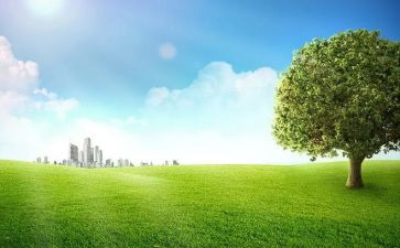 户外游戏狼来了游戏教案最新5篇