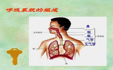 呼吸科进修自我鉴定5篇