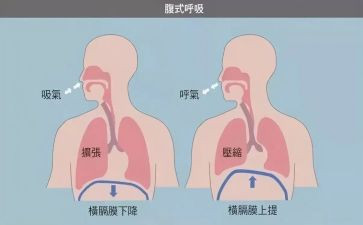 呼吸心内科出科自我鉴定7篇