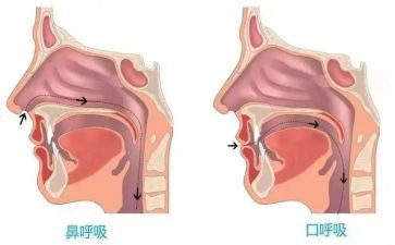 呼吸科护士工作总结6篇