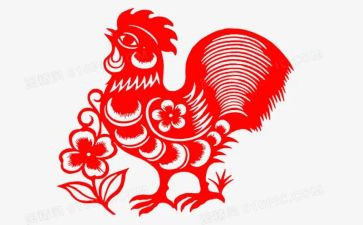 小鸡教案及反思5篇