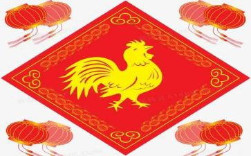 做鸡蛋面作文最新5篇
