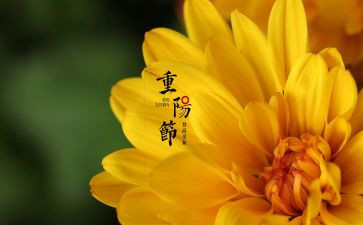 佳节活动方案推荐5篇