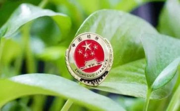 检察院副检察长述职报告5篇