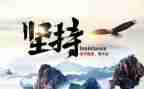 教育坚持的心得体会8篇