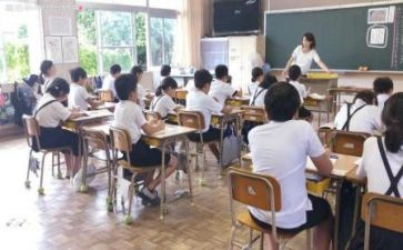 见习教师的工作总结优秀8篇