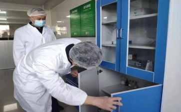 检验工作总结参考7篇
