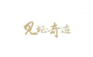 见证历史的作文5篇