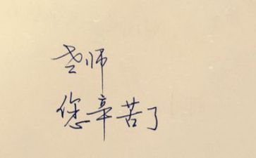 新教师年度总结精选6篇