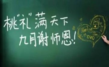 教师个人总结范文优质8篇