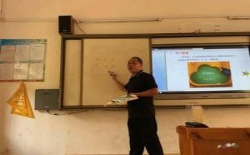 教研处述职报告精选5篇