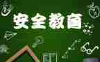 交通教育安全心得体会通用6篇