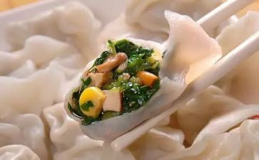 煮饺子作文800字优秀作文8篇