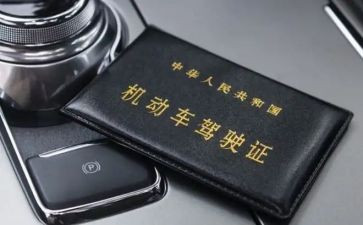 学驾照写心得体会8篇