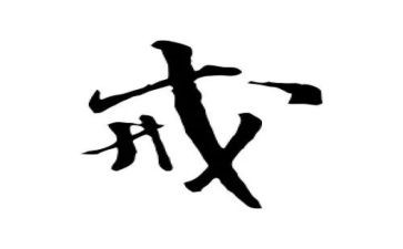 公安机关以案为戒心得体会7篇