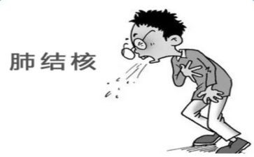 2024年结核病半年工作总结5篇