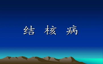 324结核活动方案7篇