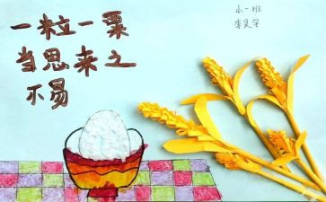节粮爱粮活动方案策划6篇