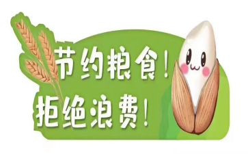 节粮食的心得体会参考5篇