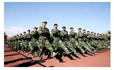 团结训练心得体会8篇