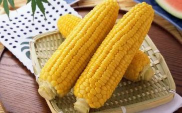 玉米结的作文模板6篇