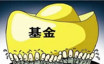 基金培训心得5篇