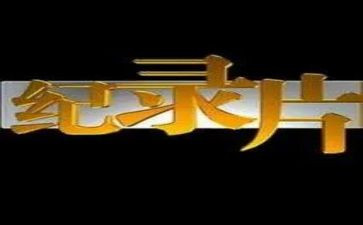 英雄之城纪录片观后感7篇