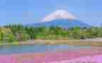 400字写景作文精选7篇